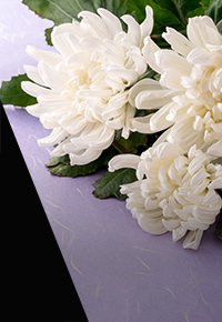 法要・法事 SCENE.02